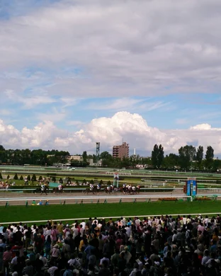 Preakness Stakes